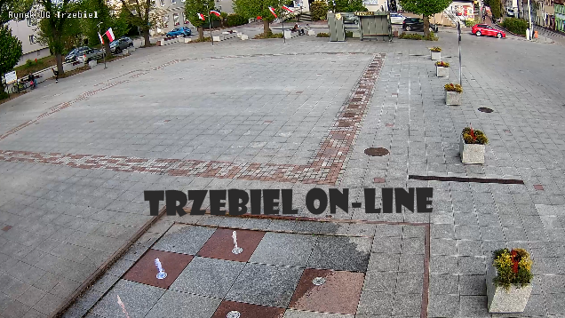 Trzebiel on-line